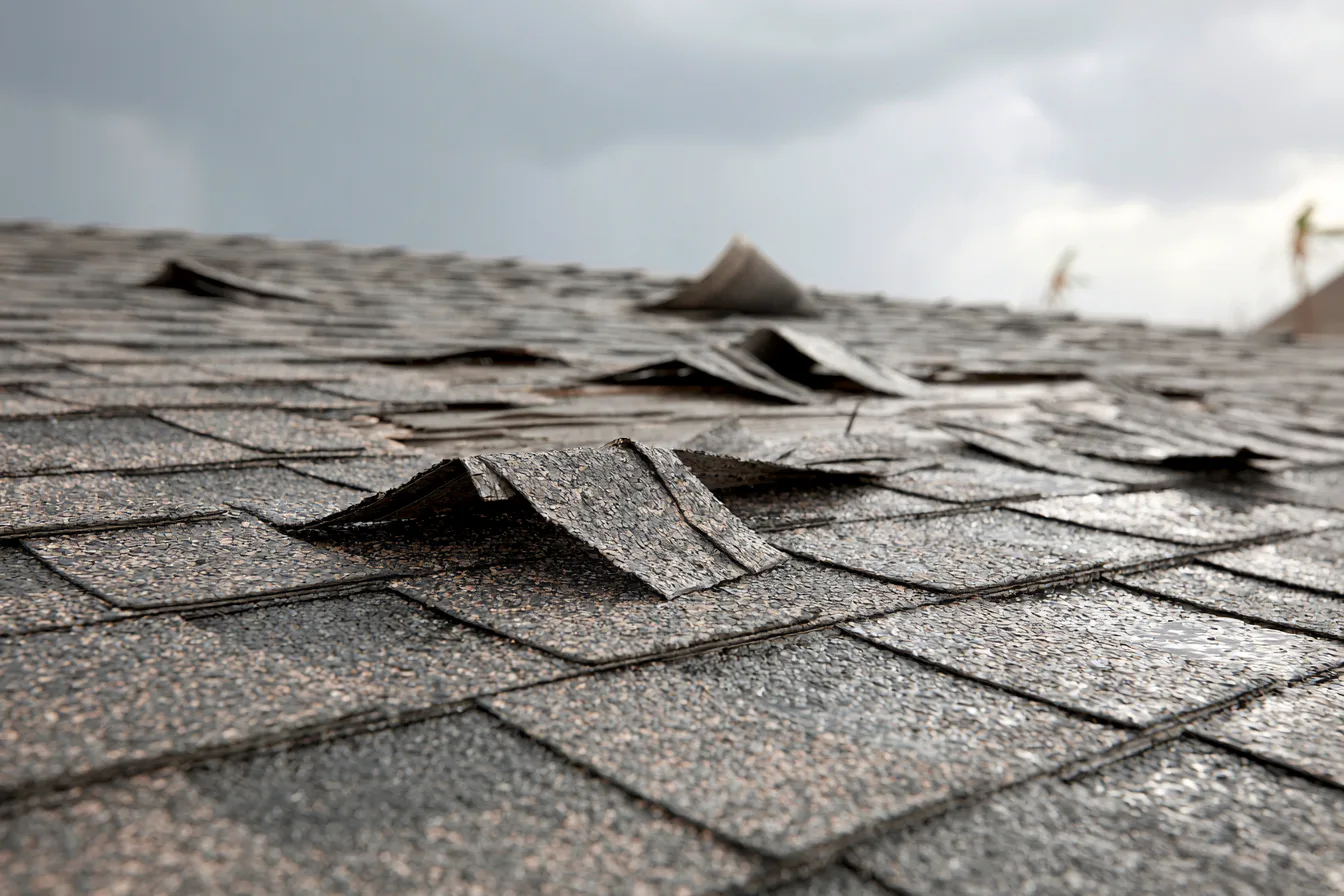 Lifted and creased shingle tabs on a roof